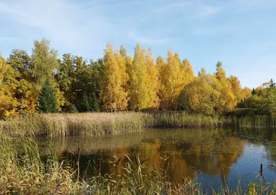 Ульяновский дендропарк весной 2016 года откроют для свободного посещения .  Фотопрогулка по памятнику природы Улпресса - все новости Ульяновска