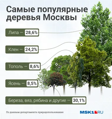 Кто сажает деревья в Москве: что известно о бизнесе массажиста Путина  Константина Голощапова - 22 августа 2022 - msk1.ru