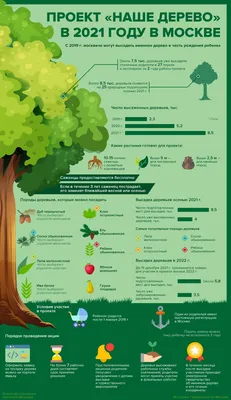 Почему Москва самый зеленый мегаполис мира и какие деревья тут сажают?