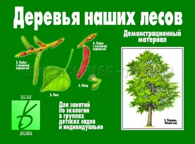 Где в Москве посмотреть на цветущие деревья