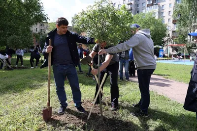 Все тополя в Москве необходимо заменить – профессор – Москва 24, 21.08.2017