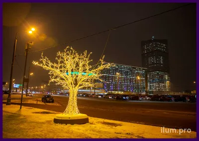 РКЦ «Жуковка» приглашает вас посадить дерево — JEvents Москва