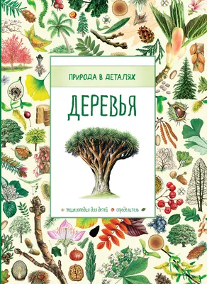 Почему в Москве на улицах не белят деревья • Новозыбков.SU