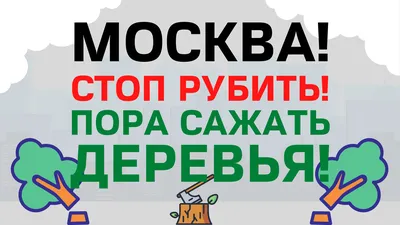 Дикорастущие деревья зацвели в парках столицы — Чертаново Южное