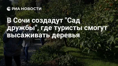 Тисо-самшитовая роща в Хосте, Сочи, Россия.