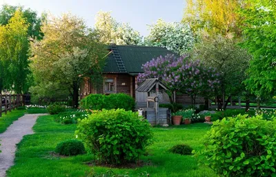 Деревянные дома, которые покорят ваше сердце