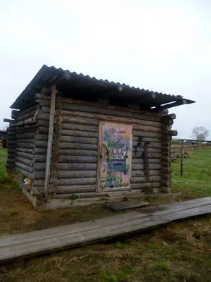 Окунево и окрестности. Омская область - Фото