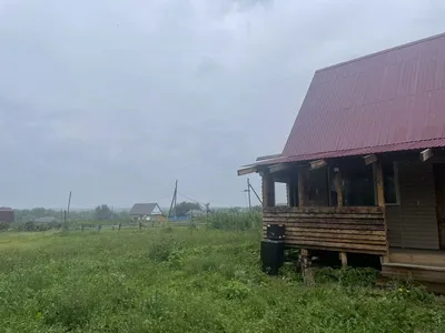 Пуп Земли» — зачем все едут в деревню Окунево в Омской области |  Russia.travel | Дзен