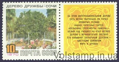 Сад-музей «Дерево Дружбы» в Сочи