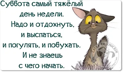 Картинки дни недели суббота с добрым утром прикольные | Субботы, Смешные  высказывания, Надписи