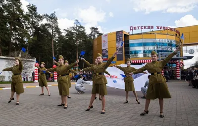 Узкоколейный паровозик | Пикабу