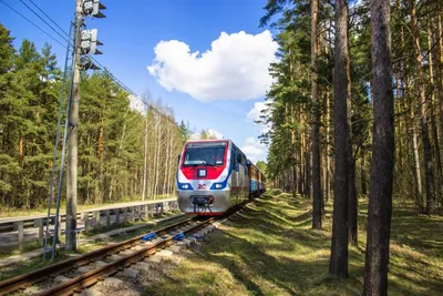 Детская железная дорога, Ярославль. Фото, видео, расписание 2024, цена  билета, как добраться — Туристер.Ру