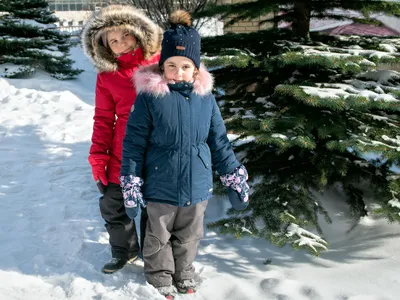 Детская зимняя рамка с деревьями, снеговиком и животными