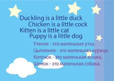 Прописи. Английский в стихах и картинках: животные. Для детей 6-7 лет –  купить по цене: 27 руб. в интернет-магазине УчМаг