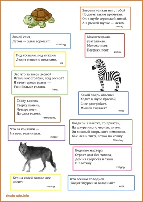 Детские загадки про животных с картинками фотографии