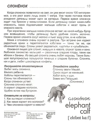 Вопросы и ответы о животном мире - купить с доставкой по Москве и РФ по  низкой цене | Официальный сайт издательства Робинс