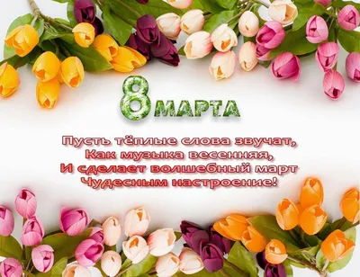 Девчонки, с праздником 8 марта🌷поздравляю красивой песней к 8 марта  женщинам🌺Александр Закшевский - YouTube