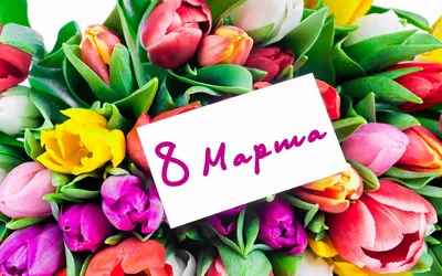 Дорогие женщины, поздравляем Вас с 8 Марта! | Новости | МФЦ Неклиновского  района | Главная | МФЦ Портал