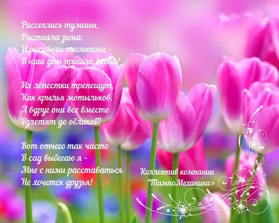 Милые женщины, поздравляем Вас с 8 Марта! - ЛРЦ в д. Голубое ФГБУ ФНКЦ МРиК  ФМБА России