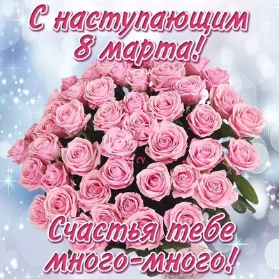 С наступающим 8 Марта, дорогие женщины! - Dassimisi.RU