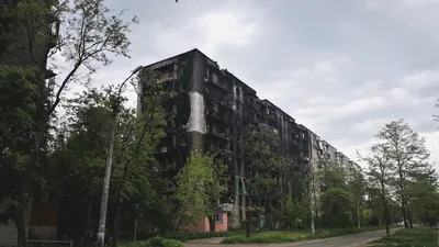 Портрет самой сильной девушки мира украсит городскую Доску почёта в Сургуте