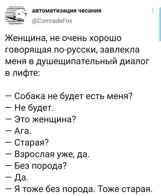 Диалог: Искусство слова для писателей, сценаристов и драматургов | Макки  Роберт - купить с доставкой по выгодным ценам в интернет-магазине OZON  (231026001)