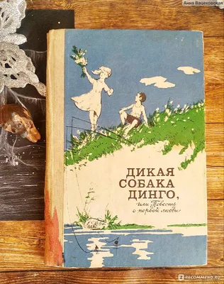 Книга Дикая собака динго, или Повесть о первой любви - купить детской  художественной литературы в интернет-магазинах, цены на Мегамаркет |