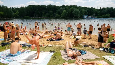 Одиннадцать \"диких\" пляжей Москвы могут получить статус официальных – Москва  24, 27.07.2014