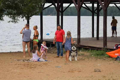 Россия, Московская область, Можайский район, Можайское водохранилище -  «Отдых выходного дня - хочешь дикий, хочешь цивилизованный - обзорка» |  отзывы