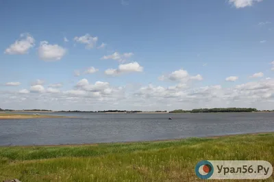 Река Черная в Оренбуржье почти превратилась в ручей - 1743.ru