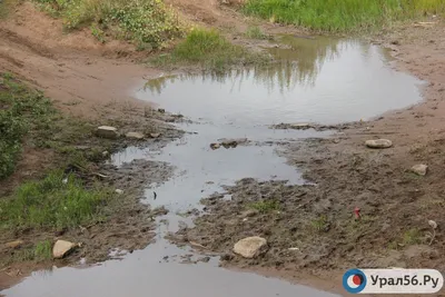 Димитровское водохранилище - Рыбалка - Русский отдых