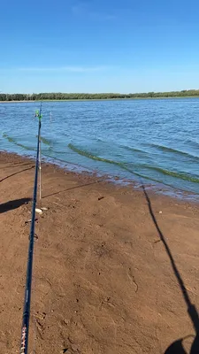 Отчет о рыбалке: Димитровское водохранилище — Илекский район — Приволжский  федеральный округ, Оренбургская область — № 7513 — fishing-report.ru