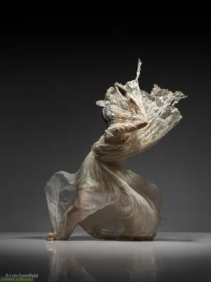 Динамичные фотографии танцоров | Lois greenfield, Dance images, Dance art