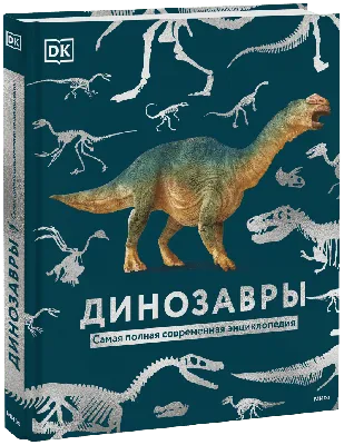 Развлечёба 🦕🦖 Про динозавров - YouTube