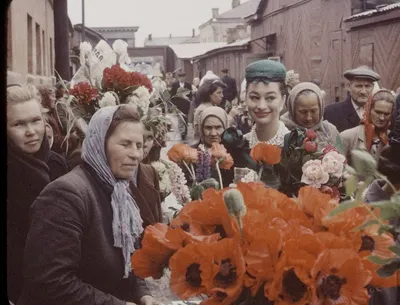 Dior fashion show в Москве 1959 г.. Обсуждение на LiveInternet - Российский  Сервис Онлайн-Дневников