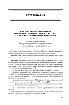 Дисплазия. Кто виноват? | ВКонтакте