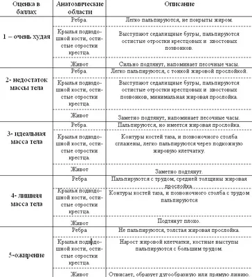 Как продлить жизнь вашей собаке. Эвжен Корец, Алена Зверинова, Адела  Гриблова (Фитон XXI) | Группа авторов - купить с доставкой по выгодным  ценам в интернет-магазине OZON (702876303)