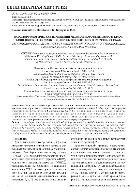 Дисплазия локтевых суставов у собак Полезная информация - Алвита