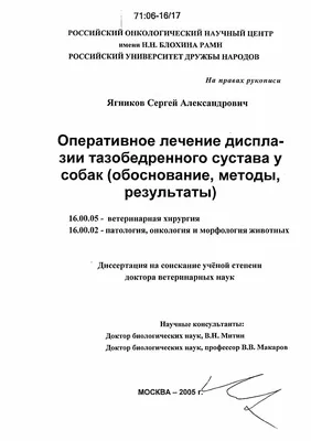 Дисплазия у щенка когри | Пикабу