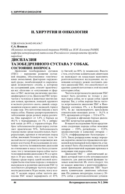 Дисплазия тазобедренного сустава у собак, симптомы, лечение, диагностика и  профилактика - Питомцы Mail.ru