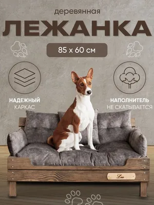 Диван для собак и кошек 85х60 см Именной, Диван для кошек, Лежанка для собак  и кошек, Лежак для собак и кошек, Товары для животных, Лежанка для котов  Лежанка для животных Лежанка для