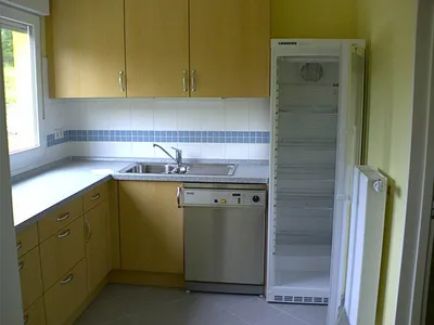 Фото дизайна кухни в доме на 22 кв.м: минимализм и функциональность