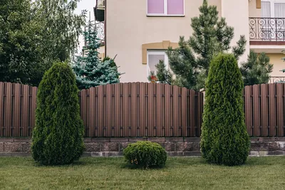 Профнастил для крыши дома: фото