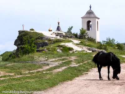 Фото красивого дома с бело-серым сайдингом
