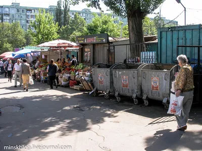 Уютный дом с бело-серой обшивкой: фото для ознакомления