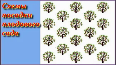 Изображения уютного двора с оригинальным дизайном.