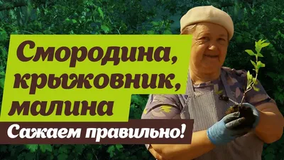 Фотография двора с элементами ручной работы и DIY