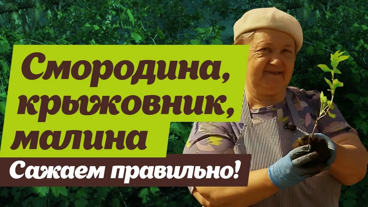 Фотография двора с элементами ручной работы и DIY Фотография двора с элементами ручной работы и DIY