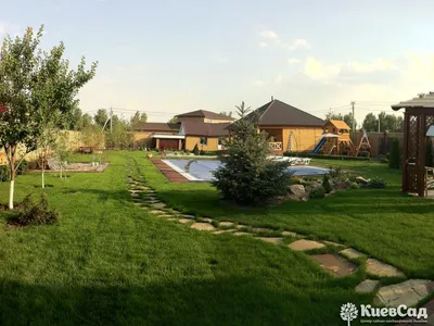 Картинка двора с красивым дизайном и уютной атмосферой