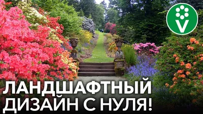 Картинка двора с уникальным и оригинальным дизайном